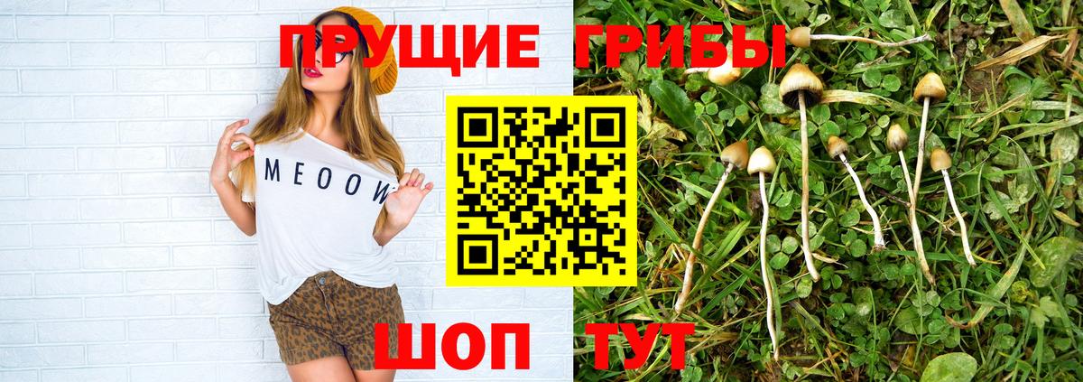 Строитель  Псилоцибиновые грибы мухоморы  Вход с VPN 