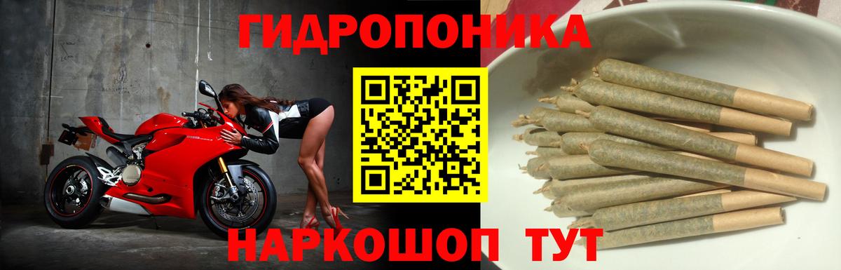 Строитель  Бошки Шишки план  Вход с VPN  Конопля сатива  Шишки марихуана Bruce Banner  Конопля тримм 